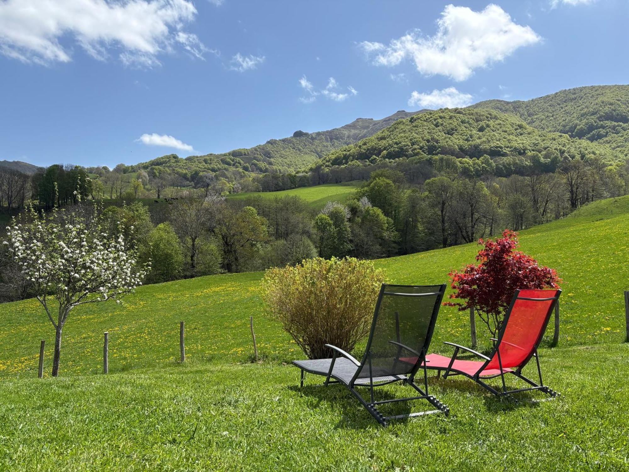 Villa Le Pradima à Mandailles-Saint-Julien Extérieur photo